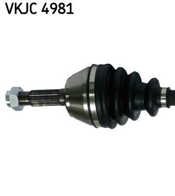 Cardan SKF ref. VKJC 4981